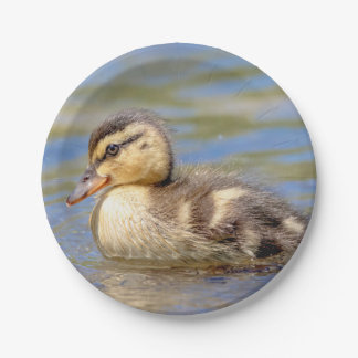 Mallard Duckling Paper Plates