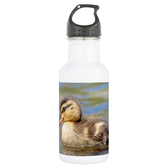 Mallard Duckling Water Bottle (Front)