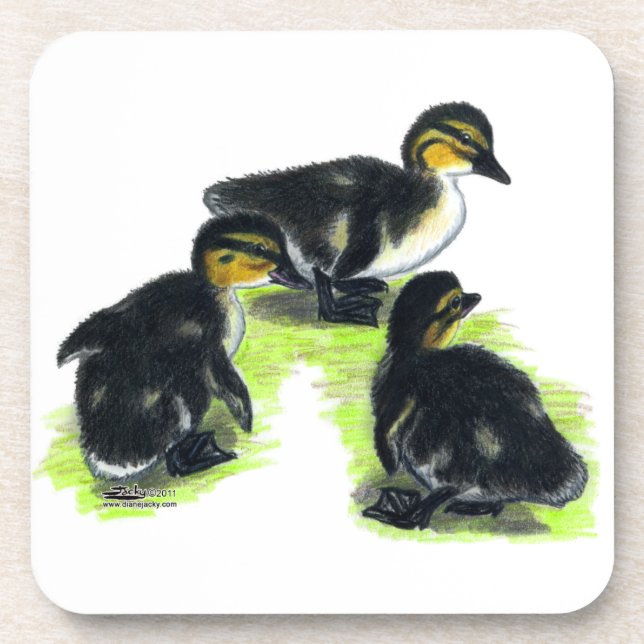 Mallard Ducklings Beverage Coaster (Front)