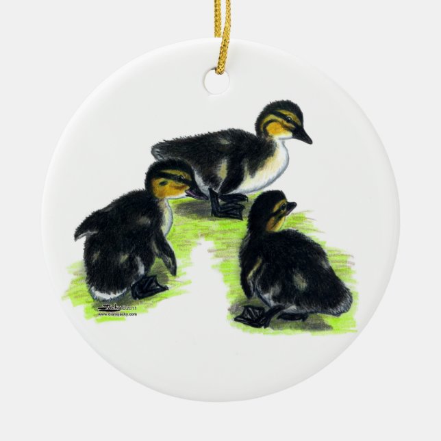Mallard Ducklings Ceramic Ornament (Front)