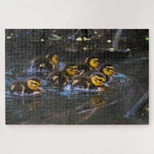 Mallard Ducklings Jigsaw Puzzle