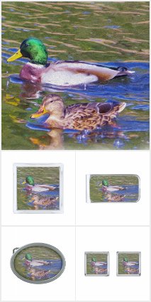 Mallard Ducks