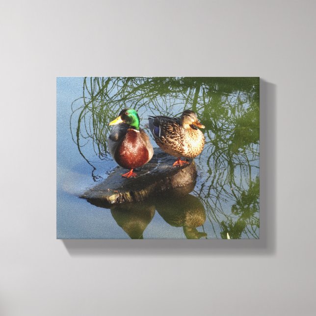 Mallard Ducks #2 Canvas Print (Front)