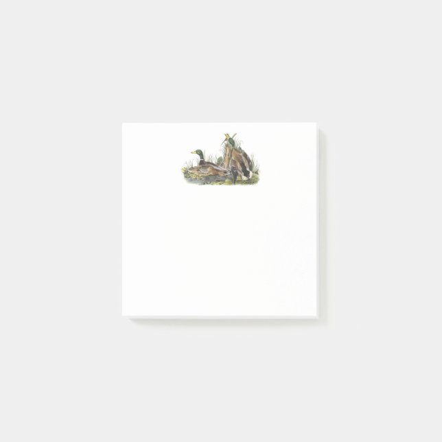 Mallard Ducks 3x3 Post-it Notes (Front)