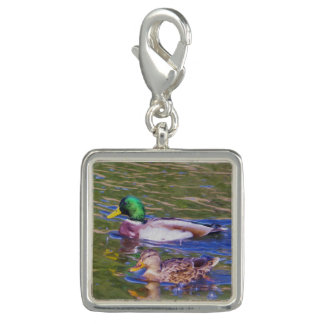 Mallard Ducks Charm