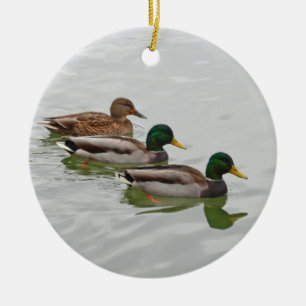 Mallard ducks christmas ornament