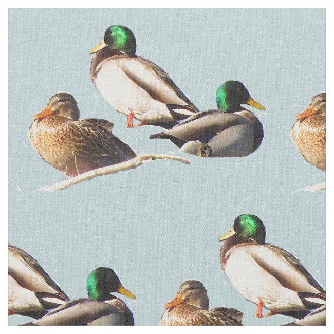 Mallard Ducks Fabric