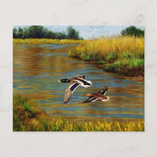Mallard Ducks Flying Over Pond