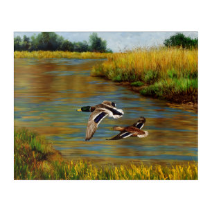 Mallard Ducks Flying Over Pond Acrylic Print