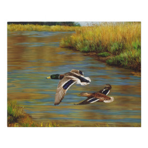 Mallard Ducks Flying Over Pond Faux Canvas Print