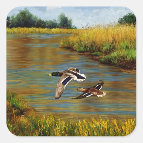 Mallard Ducks Flying Over Pond Square Sticker