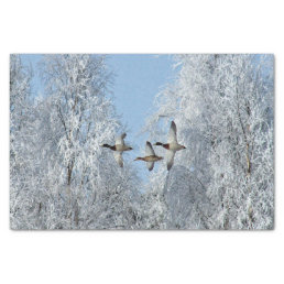Mallard Ducks Flying Snow Photo Tissue Paper