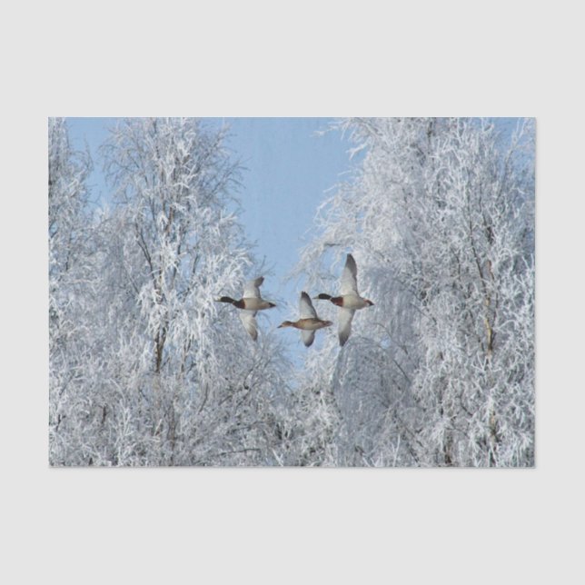 Mallard Ducks Flying Snow Photo Tissue Paper (Front)