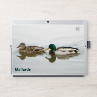Mallard Ducks HP Laptop Skin