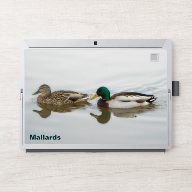 Mallard Ducks HP Laptop Skin (Front)