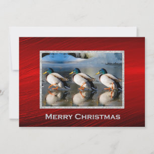 Mallard Ducks Ice Photo Christmas Flat Holiday Card