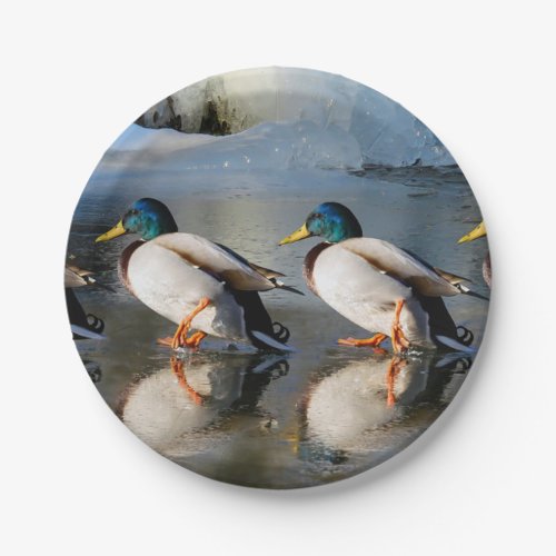 Mallard Ducks Ice Photo Paper Plates