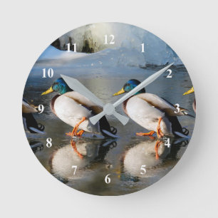 Mallard Ducks Ice Photo Round Clock