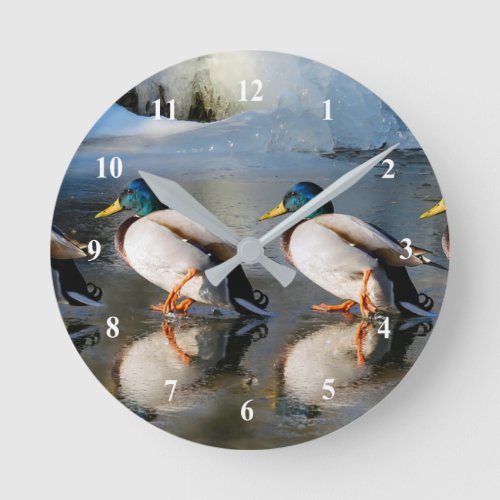 Mallard Ducks Ice Photo Round Clock