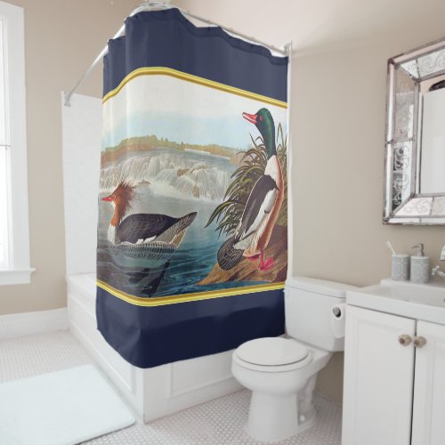 Mallard ducks in a river swimming with navy blue shower curtain