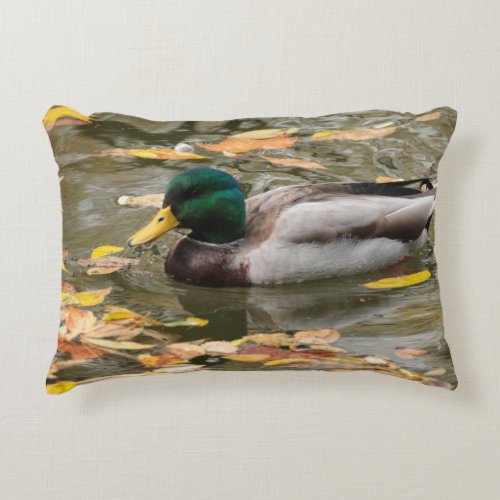 Mallard Ducks in the Water in Fall Scenic Accent Pillow