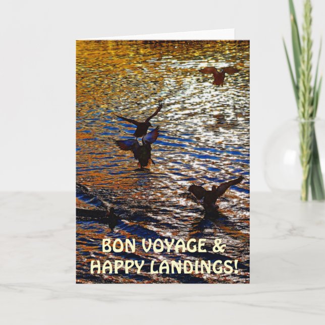 MALLARD DUCKS Landing Traveler Photo Greeting Card (Front)