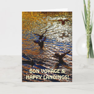 MALLARD DUCKS Landing Traveler Photo Greeting Card