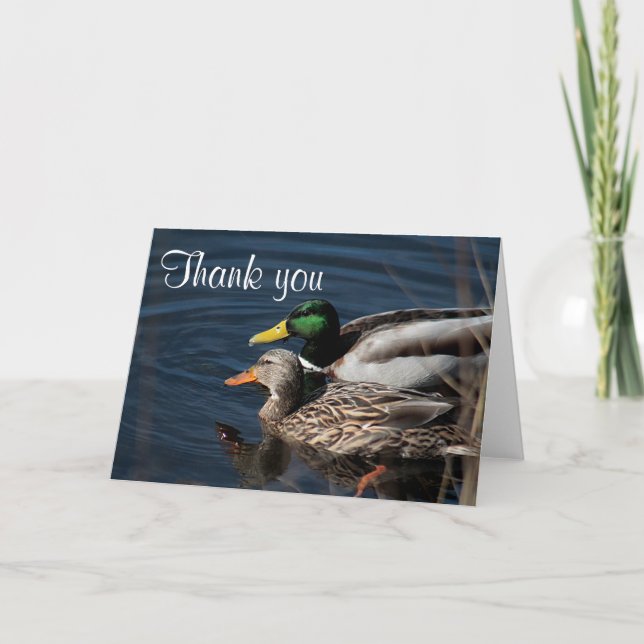 Mallard ducks letterpress thank you card (Front)