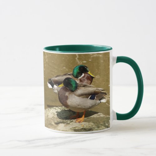 Mallard Ducks Mug