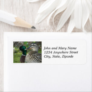 Mallard Ducks Nature Address Label