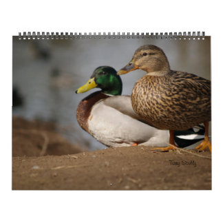 Duck Calendars | Zazzle