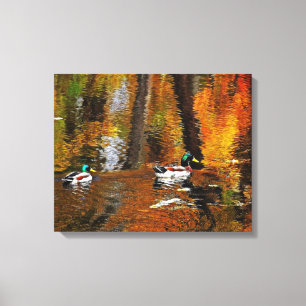 Mallard Ducks On Autumn Colors Canvas Print