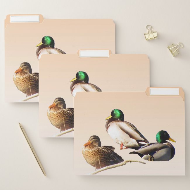 Mallard Ducks on Orange Background File Folder Set