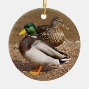 Mallard Ducks Ornament