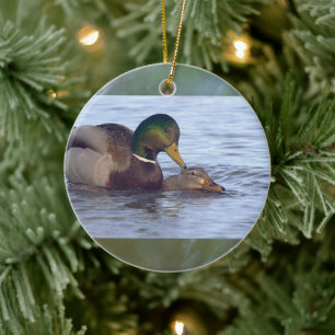 Mallard Ducks Ornament 