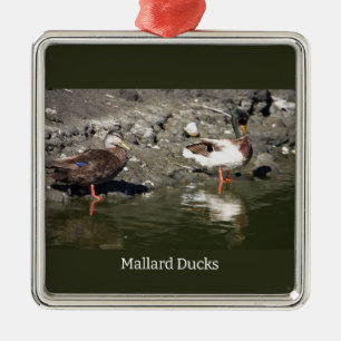 Mallard Ducks Ornament 
