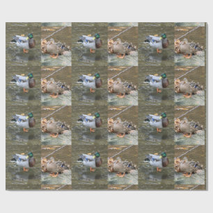Mallard Ducks Pair Wrapping Paper