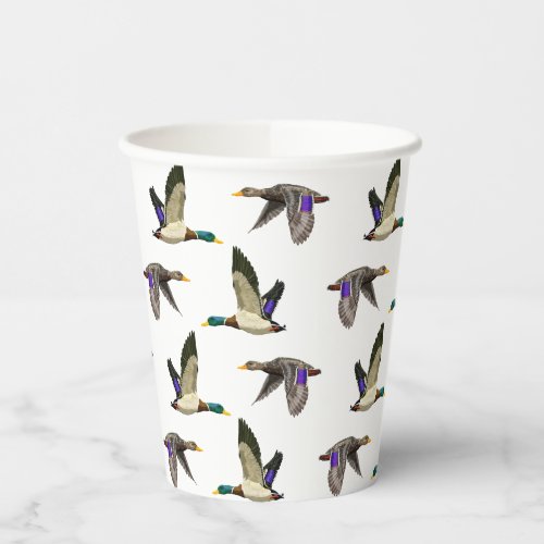 Mallard ducks  paper cups