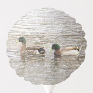 Mallard Ducks Photo Balloon