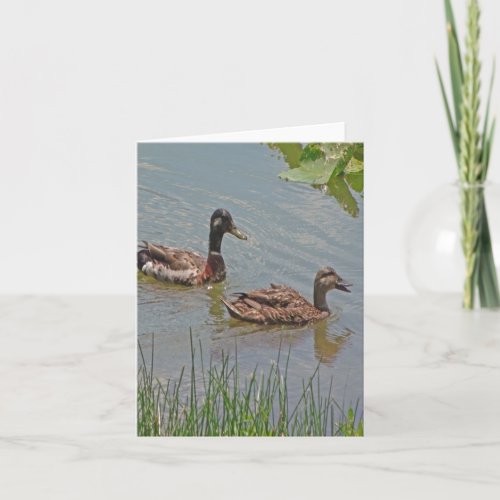 Mallard Ducks Photo Folded Note Card