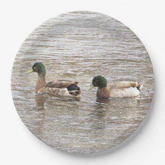 Mallard Ducks Photo Paper Plates