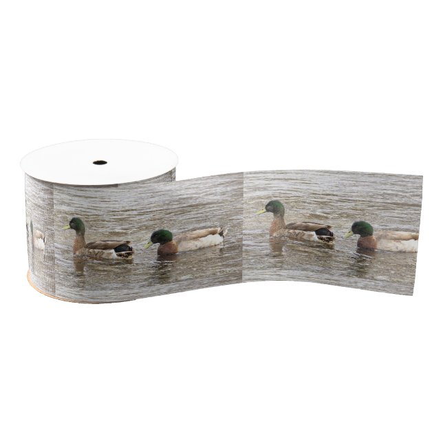 Mallard Ducks Photo Ribbon (Spool)