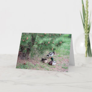 Mallard Ducks & Pines Birthday Card w Bible Verse2