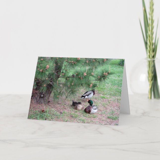 Mallard Ducks & Pines Birthday Card w Bible Verse2 (Front)