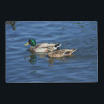 Mallard Ducks Placemat<br><div class="desc">Pair of Mallard ducks laminated place mat.</div>