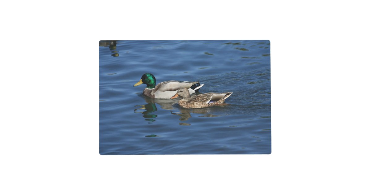 mallard-ducks-placemat-zazzle