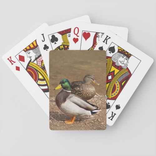 Mallard Ducks Playing Cards