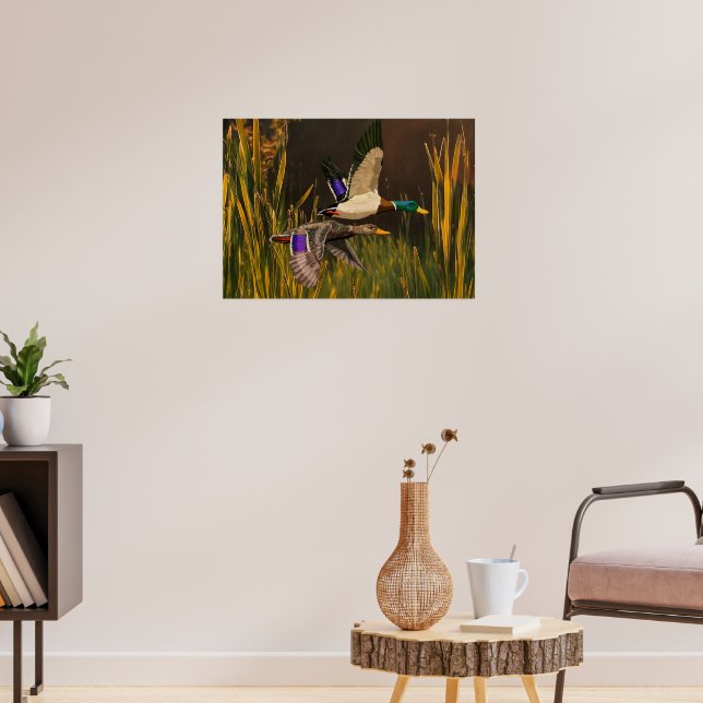 Mallard Ducks  Poster (Living Room 3)
