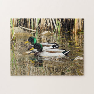 Mallard Ducks Puzzle