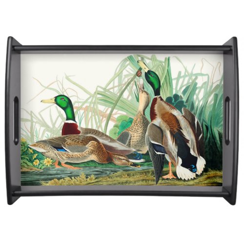 Mallard Ducks Serving Tray